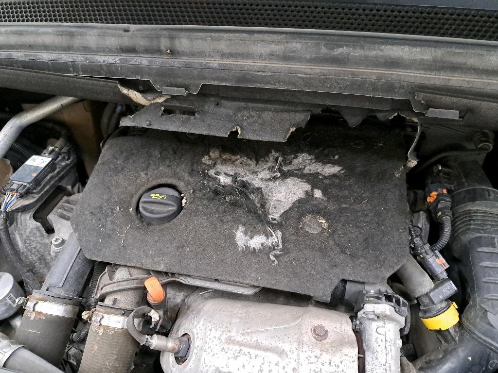 Citroen Grand C4 Picasso / SpaceTourer 15