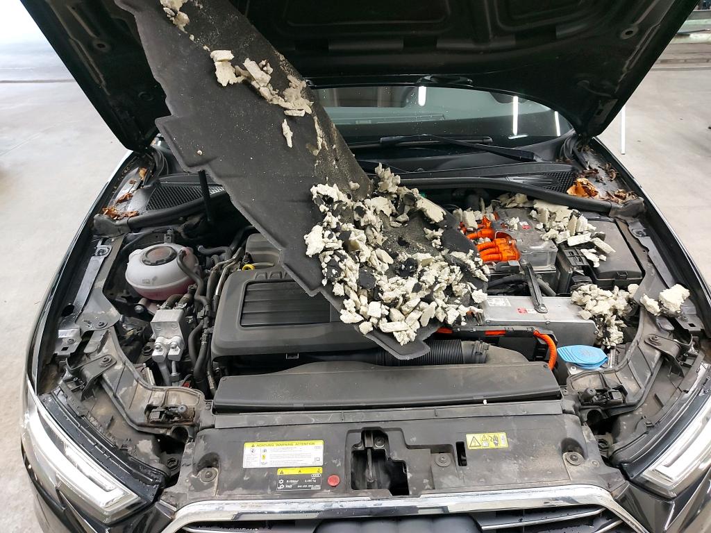 Audi A3 SB 1.4 40 TFSIe Plug-In Hybrid Aut. 11