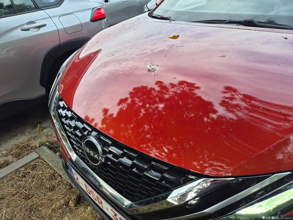 Nissan Qashqai 1.3 DIG-T Mild-Hybrid Tekna Automático 19