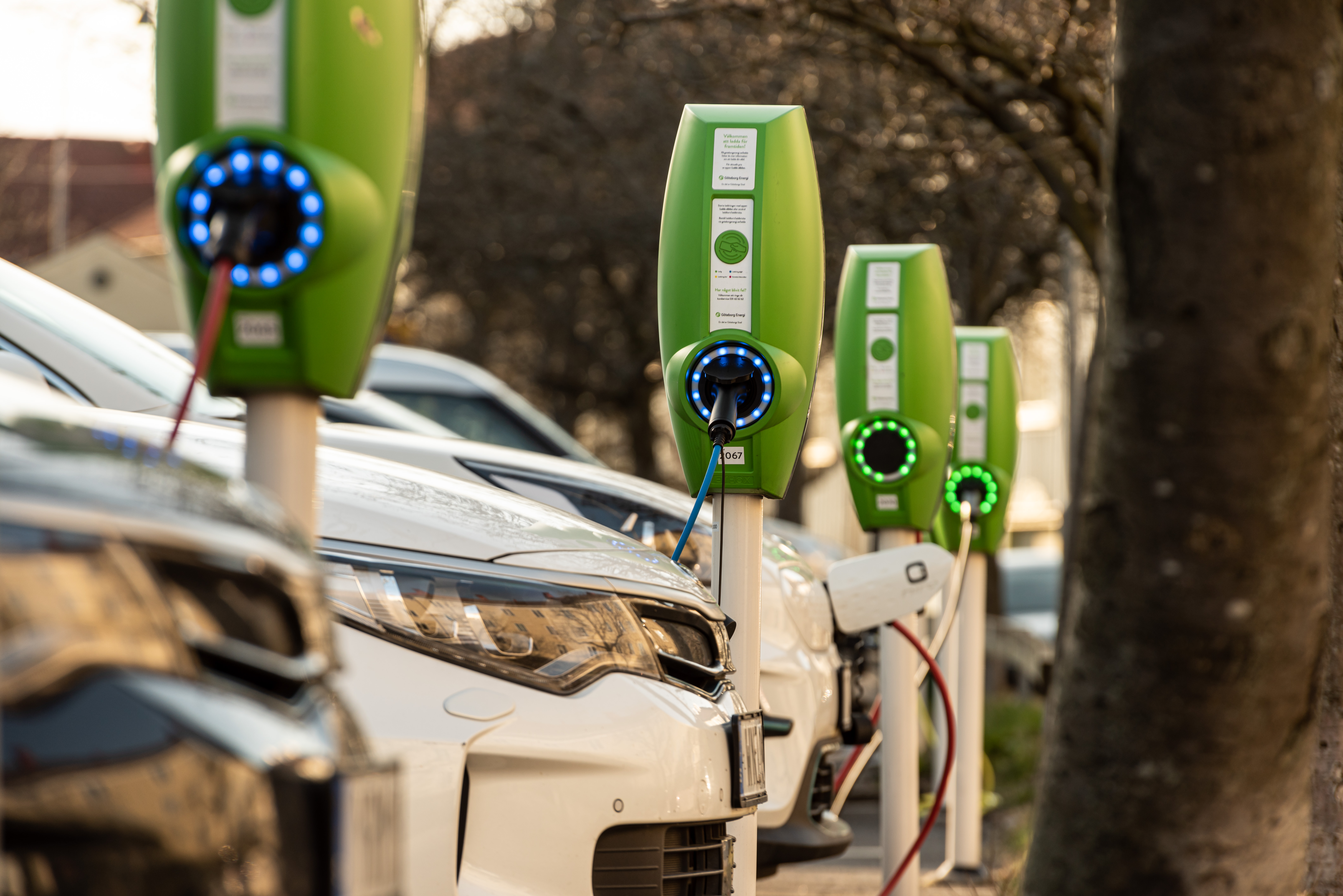 electric and hybrid cars charging at public charging stations