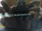 preview Seat Alhambra #4