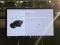 preview Tesla Model 3 #1
