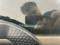 preview Renault Clio #1
