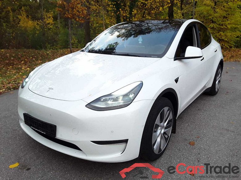 Tesla Model Y (01.2021->), Dual, Maximale Reichweite Dual AWD, 2021 - 2025 #1