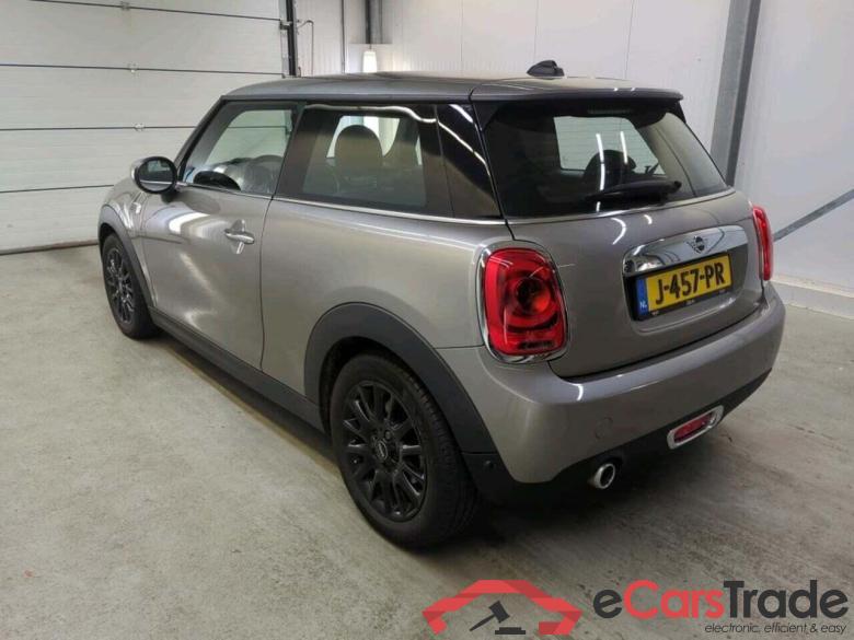 Mini Mini 1.5 One Chili #6