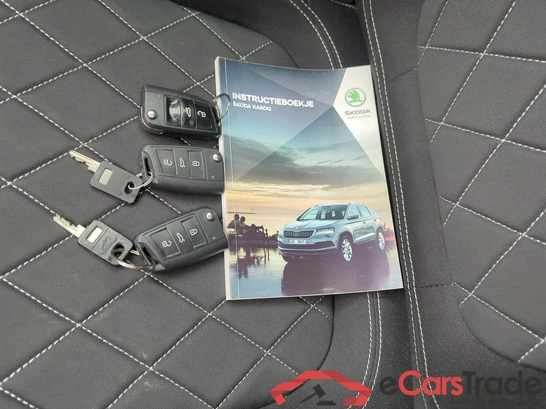 SKODA Karoq 110 kW #6