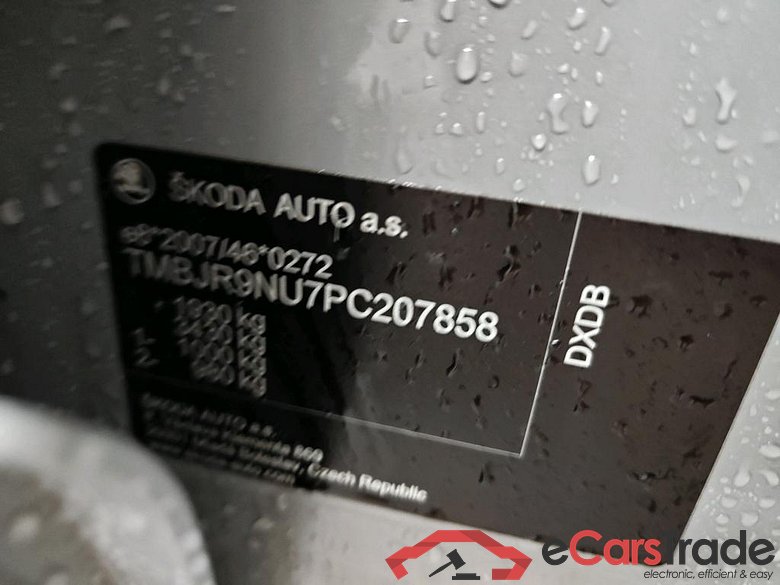 SKODA Karoq 110 kW #3