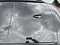 preview BMW 318 #6