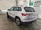 preview Skoda Karoq #1