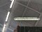 preview Skoda Enyaq #5