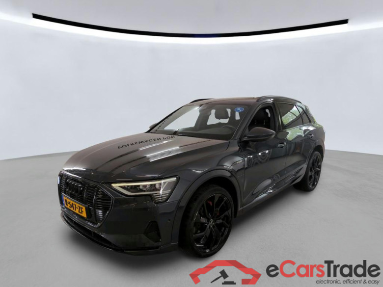 AUDI e-tron 300 kW