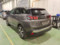 preview Peugeot 3008 #1