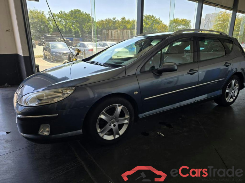 PEUGEOT 407 SW Dsl 407 SW 2.0 HDi Féline #1