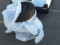 preview Ford Transit Connect #5