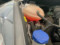 preview Ford Fiesta #3