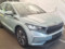 preview Skoda Enyaq #0