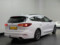 preview Ford Focus #2