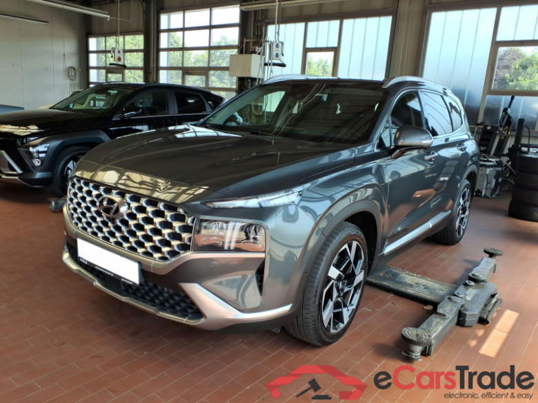 Hyundai Santa Fe Motorschaden #2