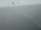 preview Ford Transit #4