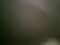 preview Opel Crossland X #3