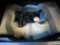 preview Citroen C4 #5