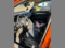 preview MG ZS #5