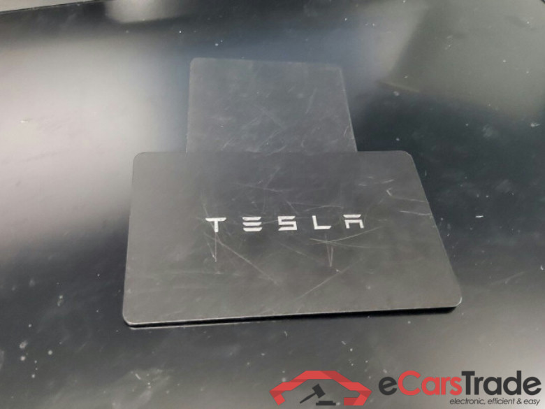 TESLA Model Y  #2