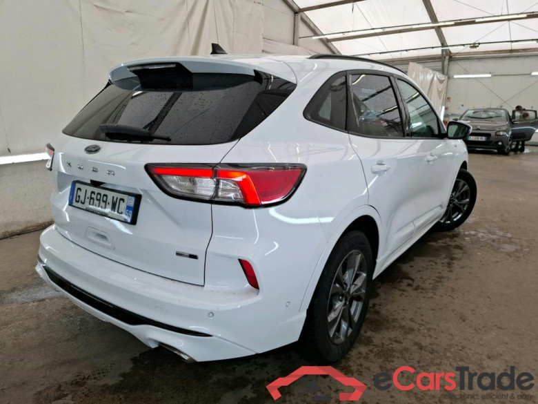 FORD Kuga / 2019 / 5P / SUV 2.0 EcoBlue 150 ch mHEV St-Line Business #3